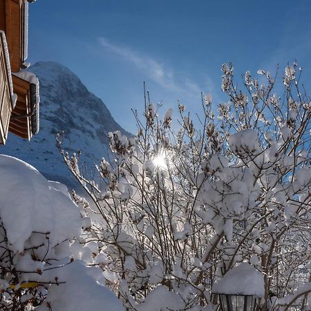 Chalet Alia And Apartments-Grindelwald By Swiss Hotel Apartments Buitenkant foto