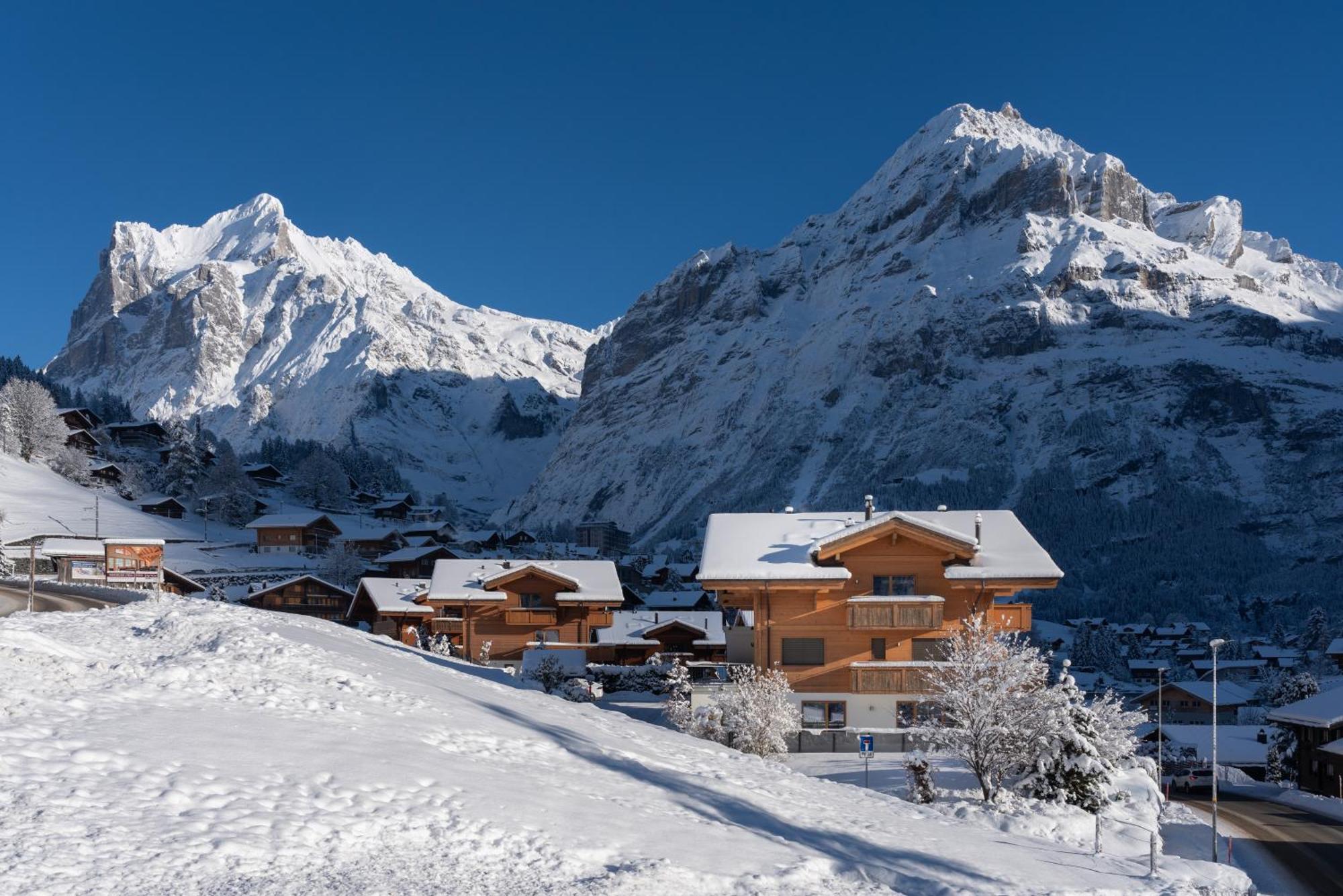 Chalet Alia And Apartments-Grindelwald By Swiss Hotel Apartments Buitenkant foto