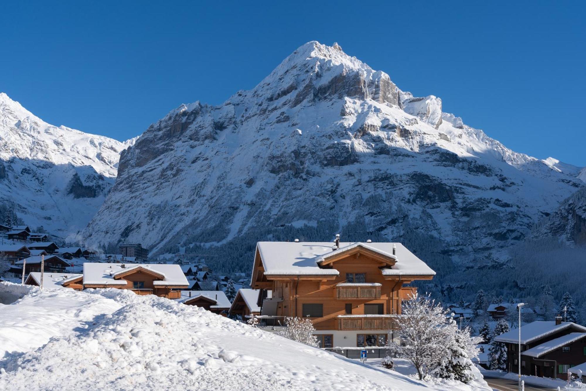 Chalet Alia And Apartments-Grindelwald By Swiss Hotel Apartments Buitenkant foto
