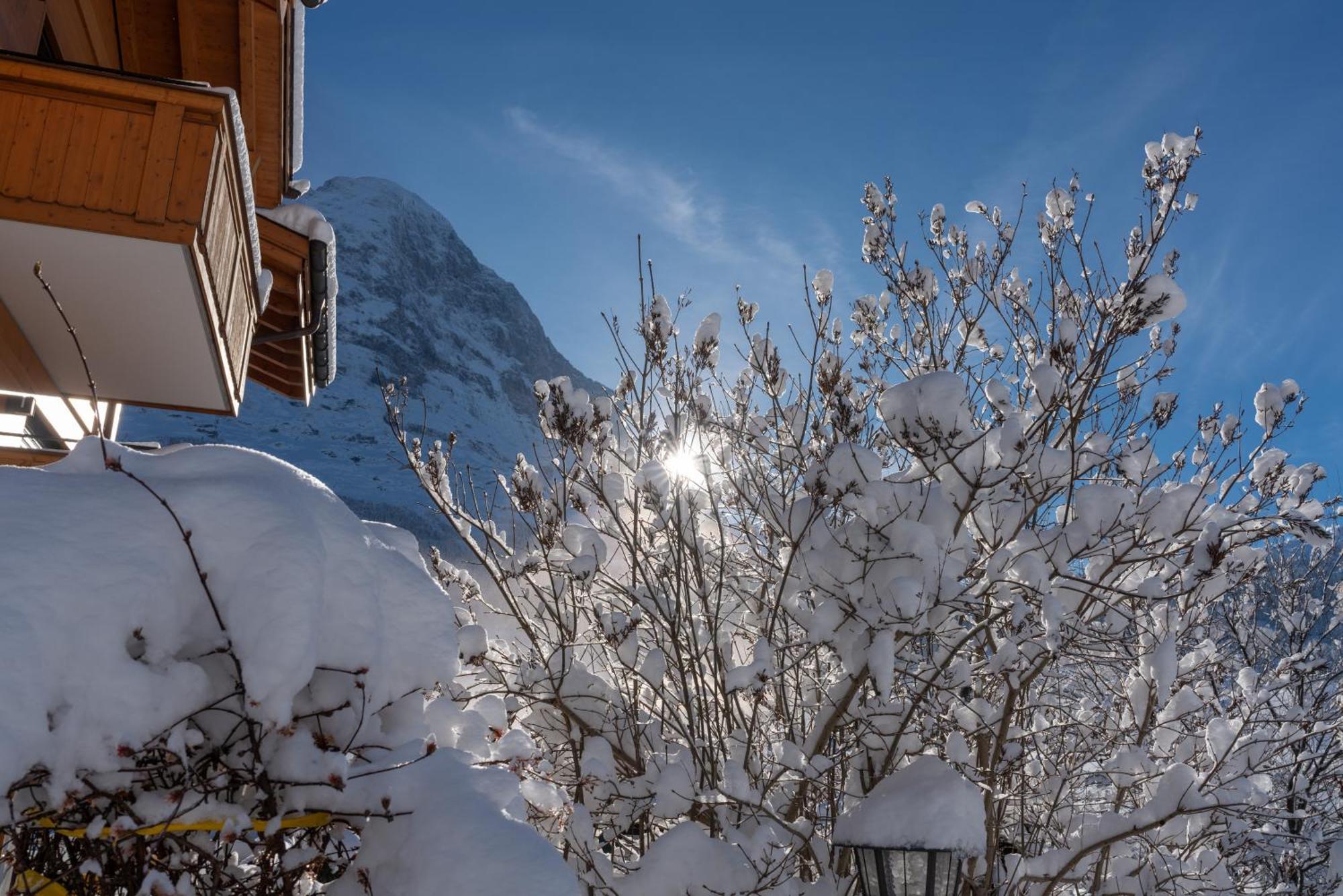 Chalet Alia And Apartments-Grindelwald By Swiss Hotel Apartments Buitenkant foto