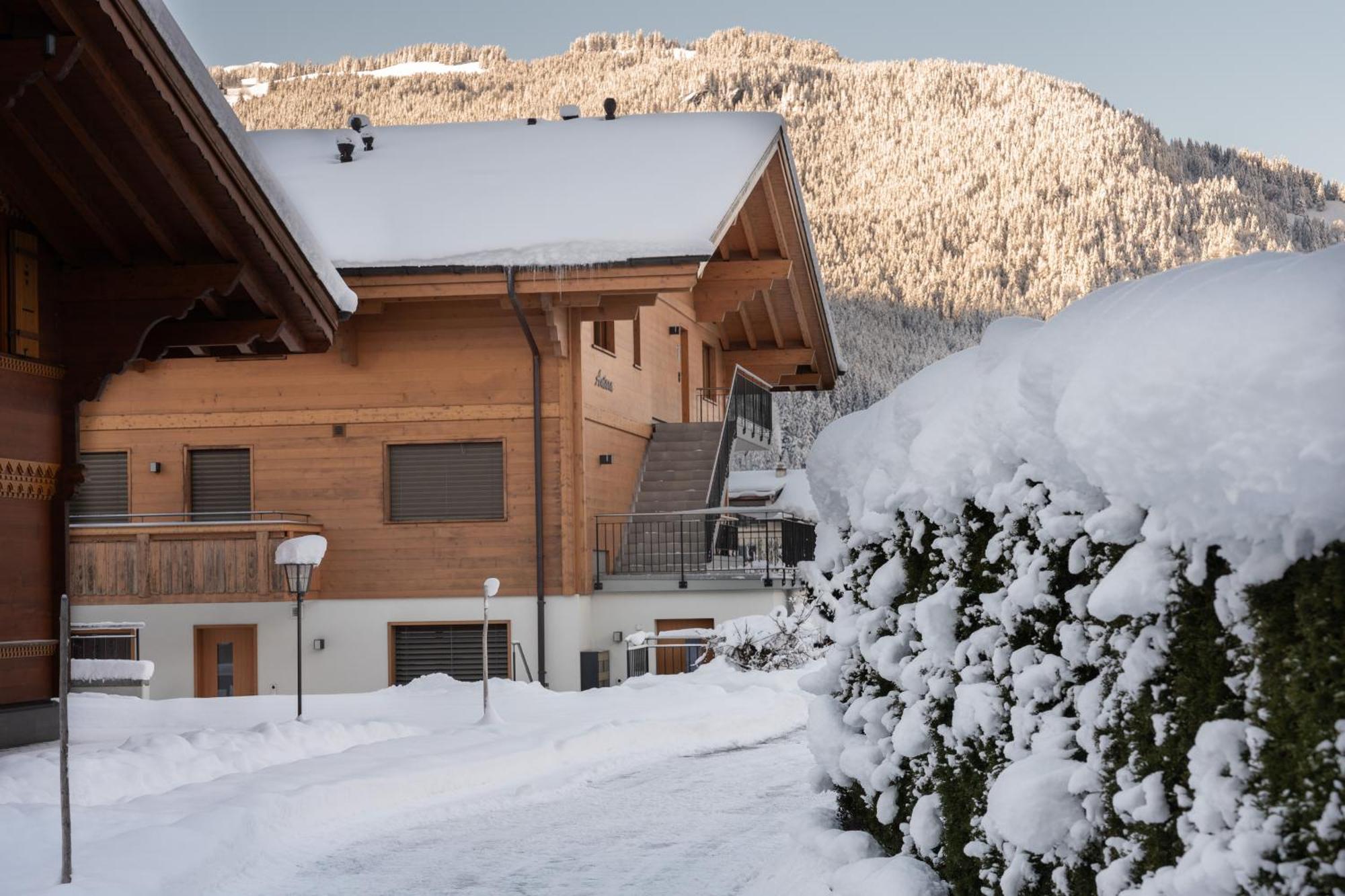 Chalet Alia And Apartments-Grindelwald By Swiss Hotel Apartments Buitenkant foto