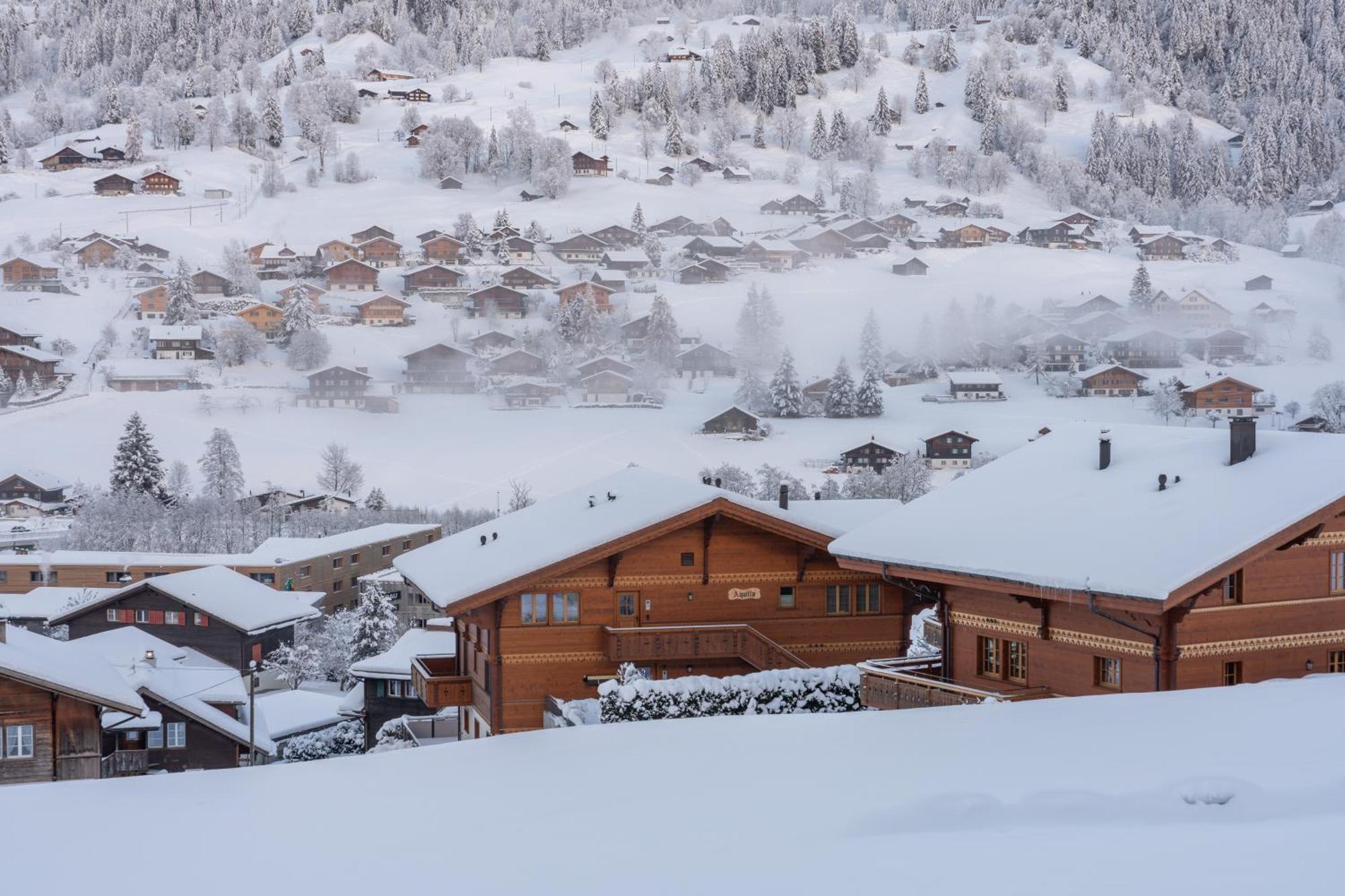 Chalet Alia And Apartments-Grindelwald By Swiss Hotel Apartments Buitenkant foto