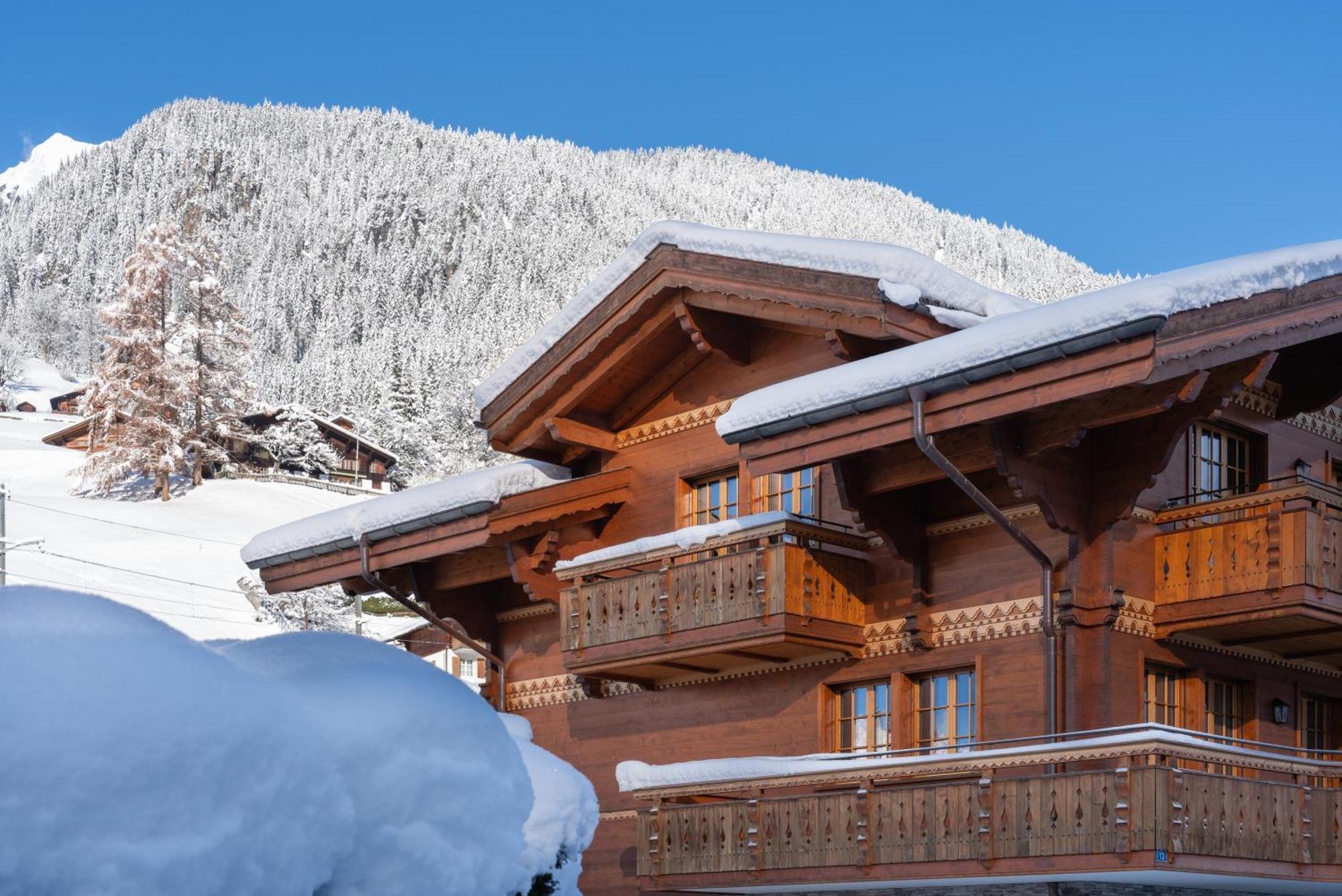 Chalet Alia And Apartments-Grindelwald By Swiss Hotel Apartments Buitenkant foto