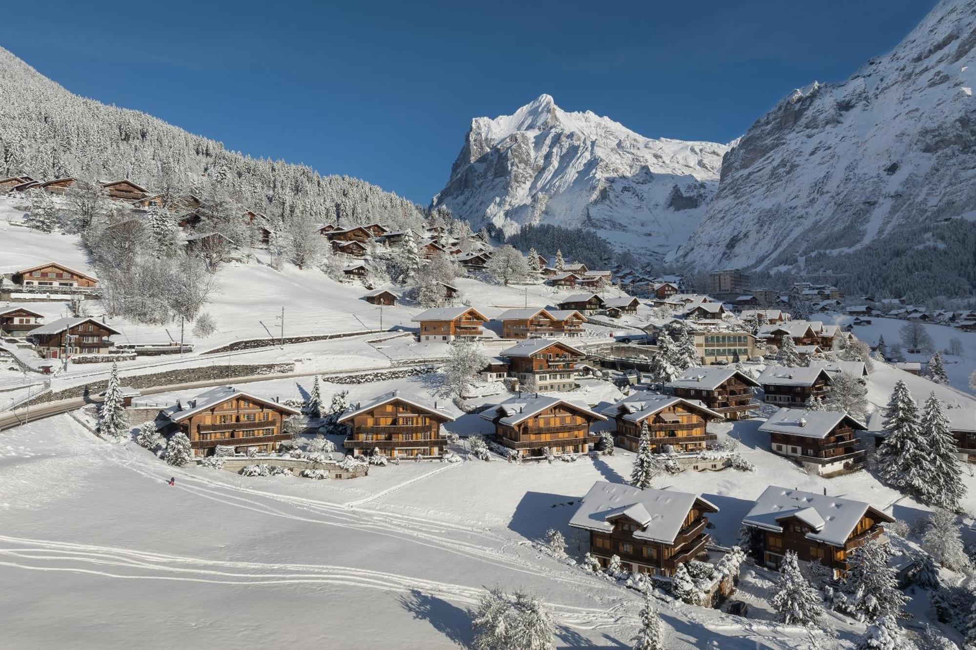 Chalet Alia And Apartments-Grindelwald By Swiss Hotel Apartments Buitenkant foto