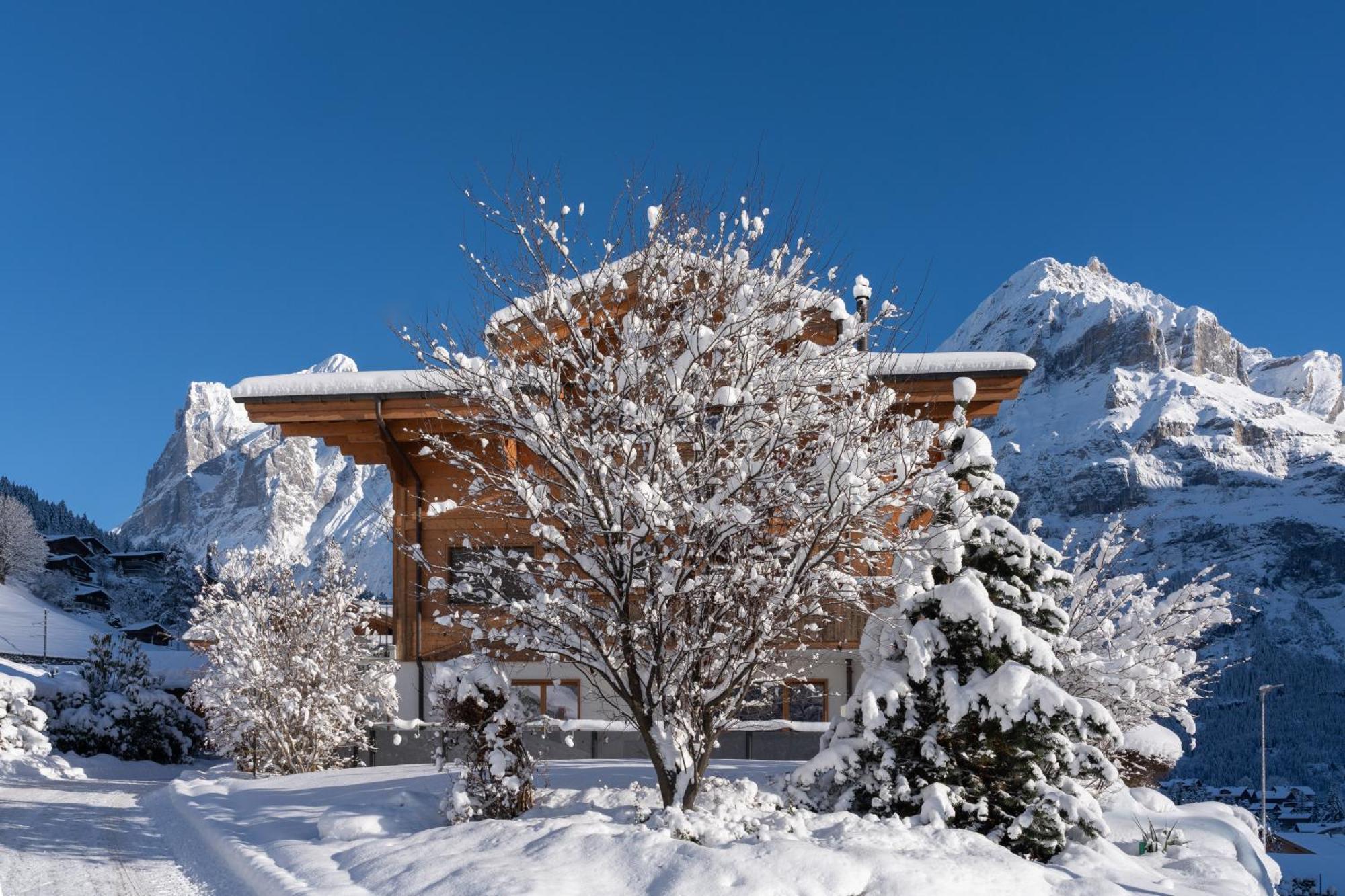 Chalet Alia And Apartments-Grindelwald By Swiss Hotel Apartments Buitenkant foto