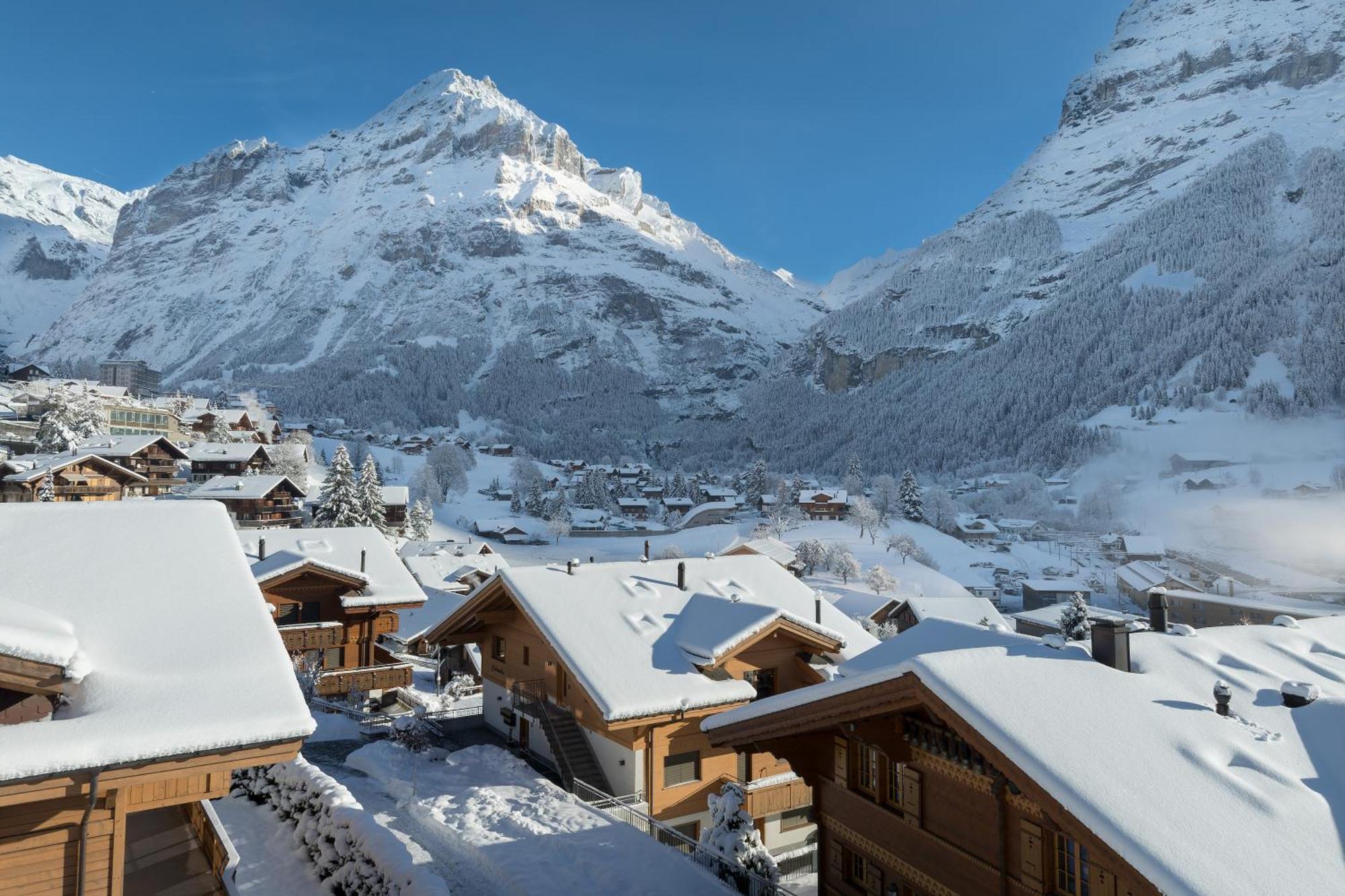 Chalet Alia And Apartments-Grindelwald By Swiss Hotel Apartments Buitenkant foto